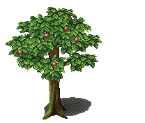 ต้นแอปเปิ้ล1.gif