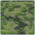 E Users Captain Desktop minimap jakar forest field04.jpg